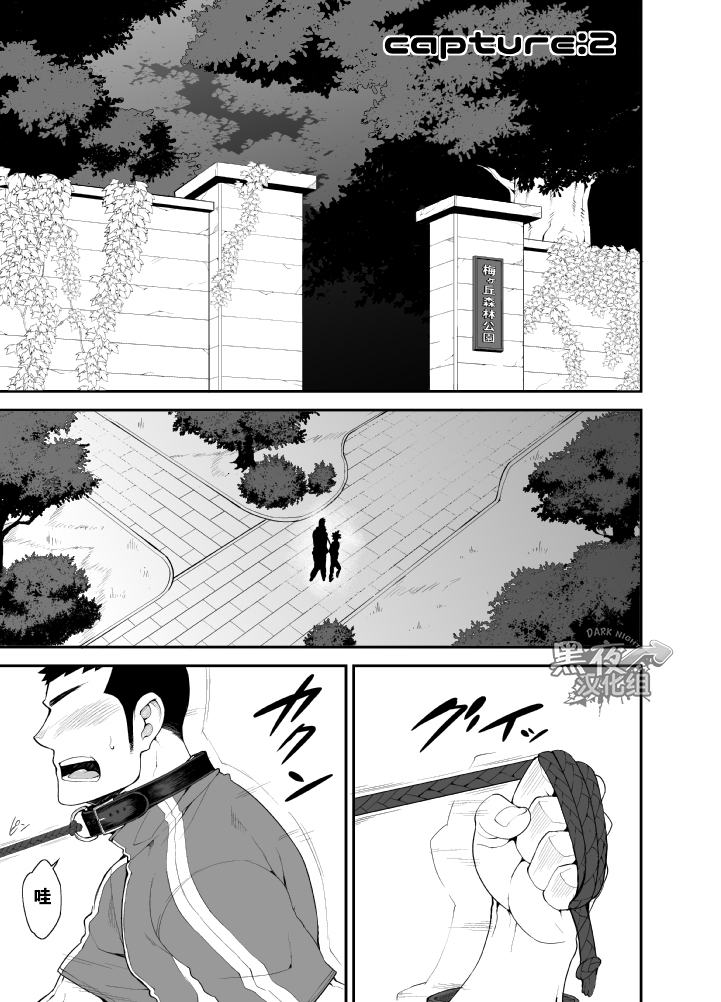 [anything (naop)] capture:2 [中国翻訳] [DL版]