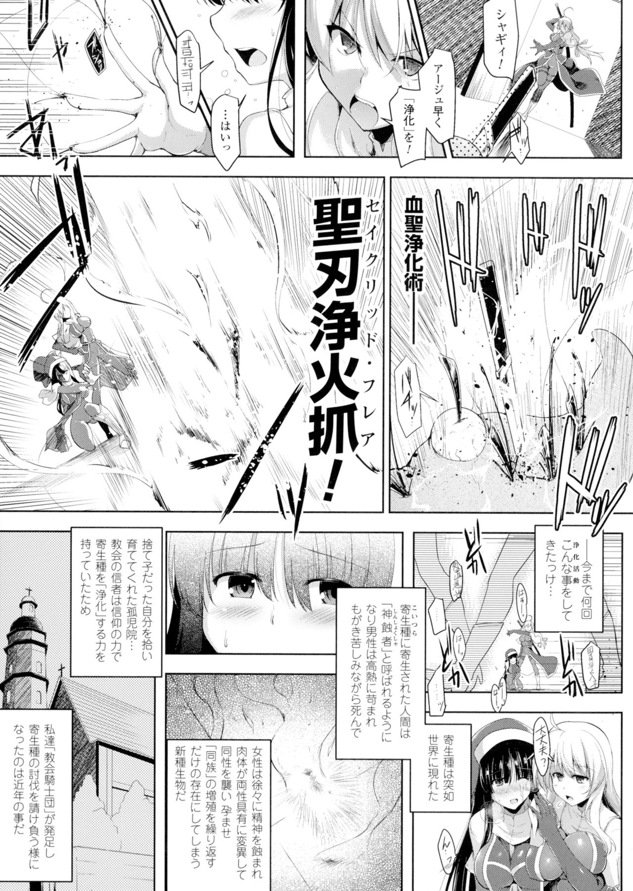 [しーあーる] 戦乙女、快楽ニ呑マレイク