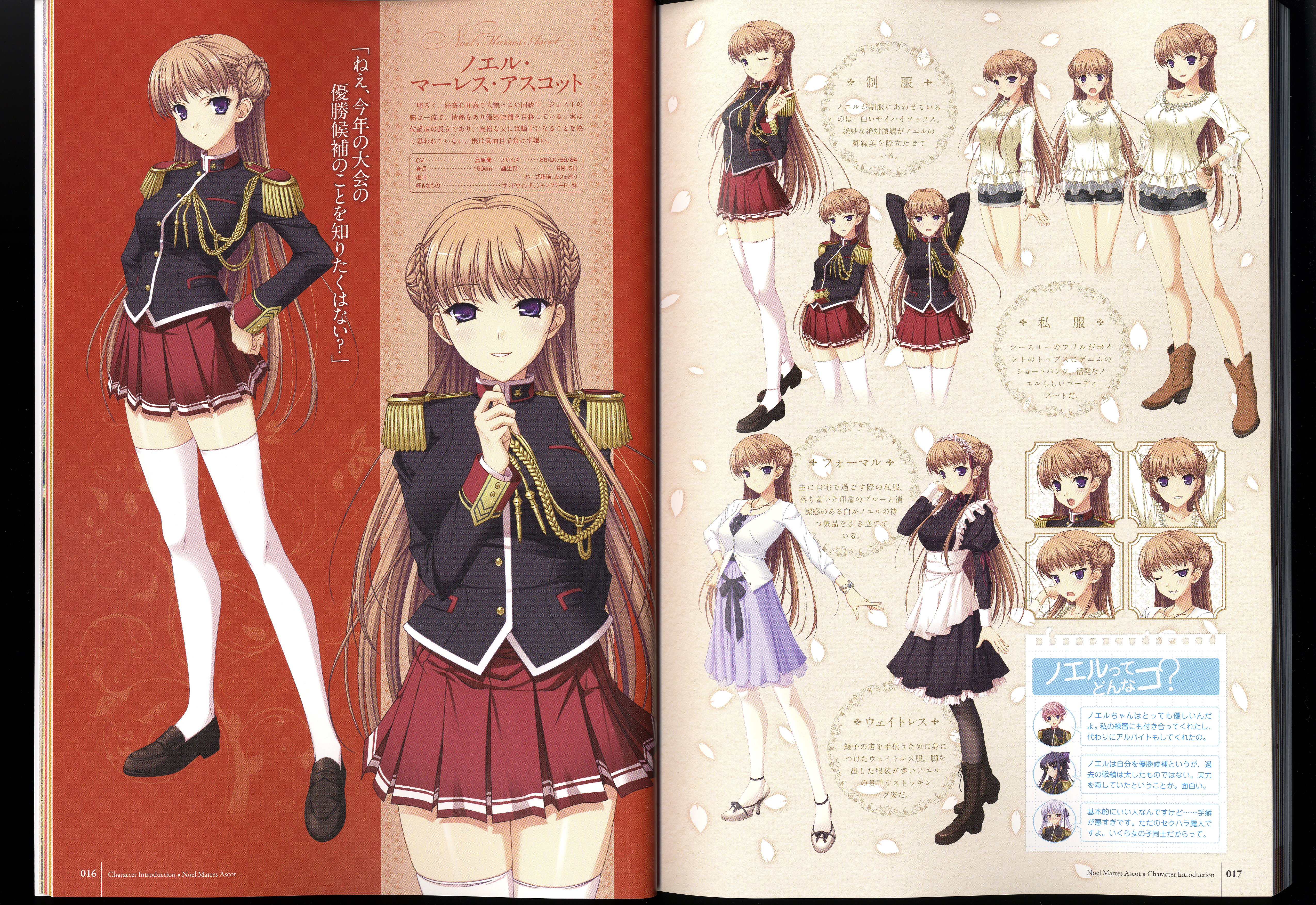 ワルキューレロマンツェ［少女騎士物語］ ビジュアルファンブック