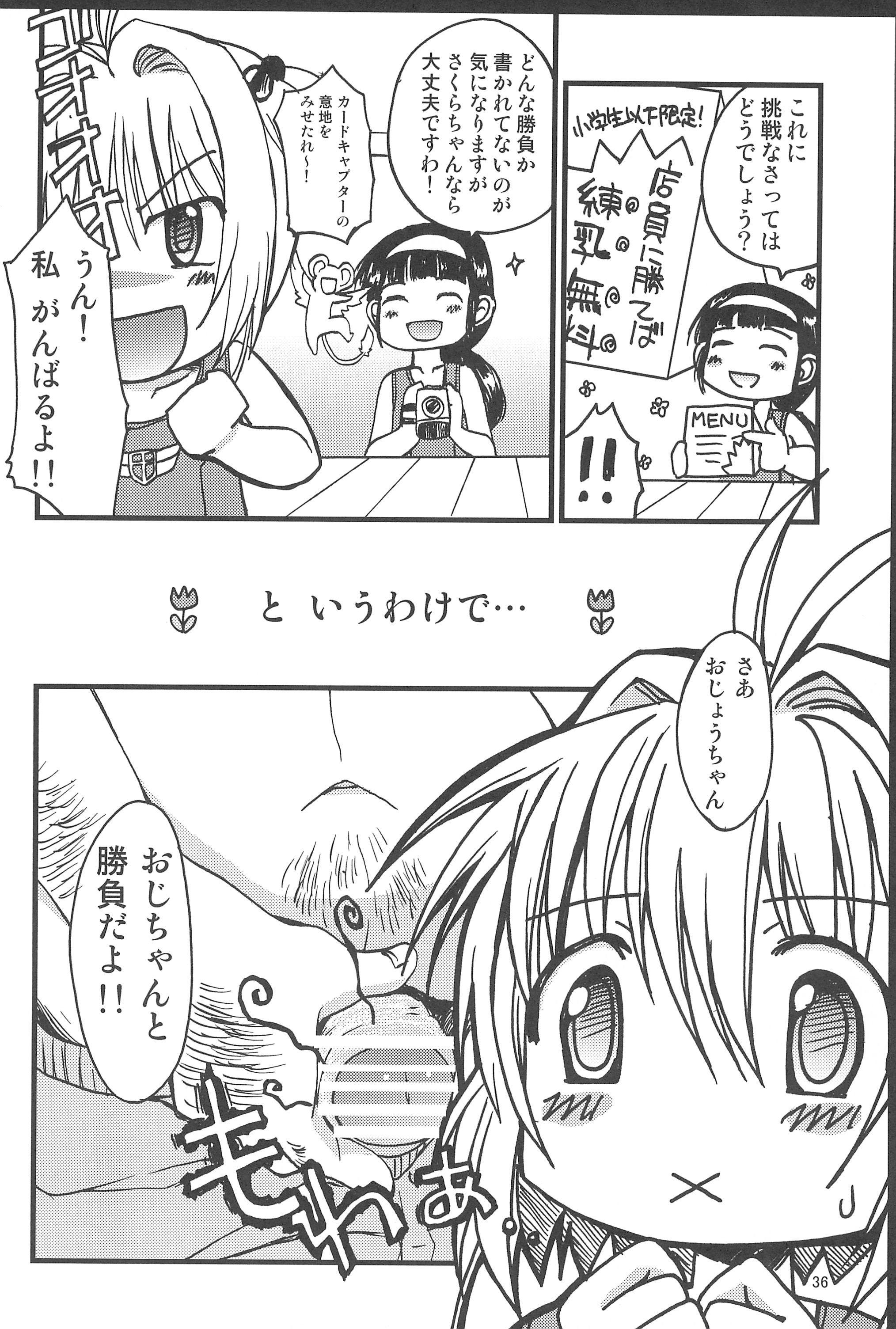 (C76) [ZNN (ジナン)] さくらメモリアル (カードキャプターさくら)