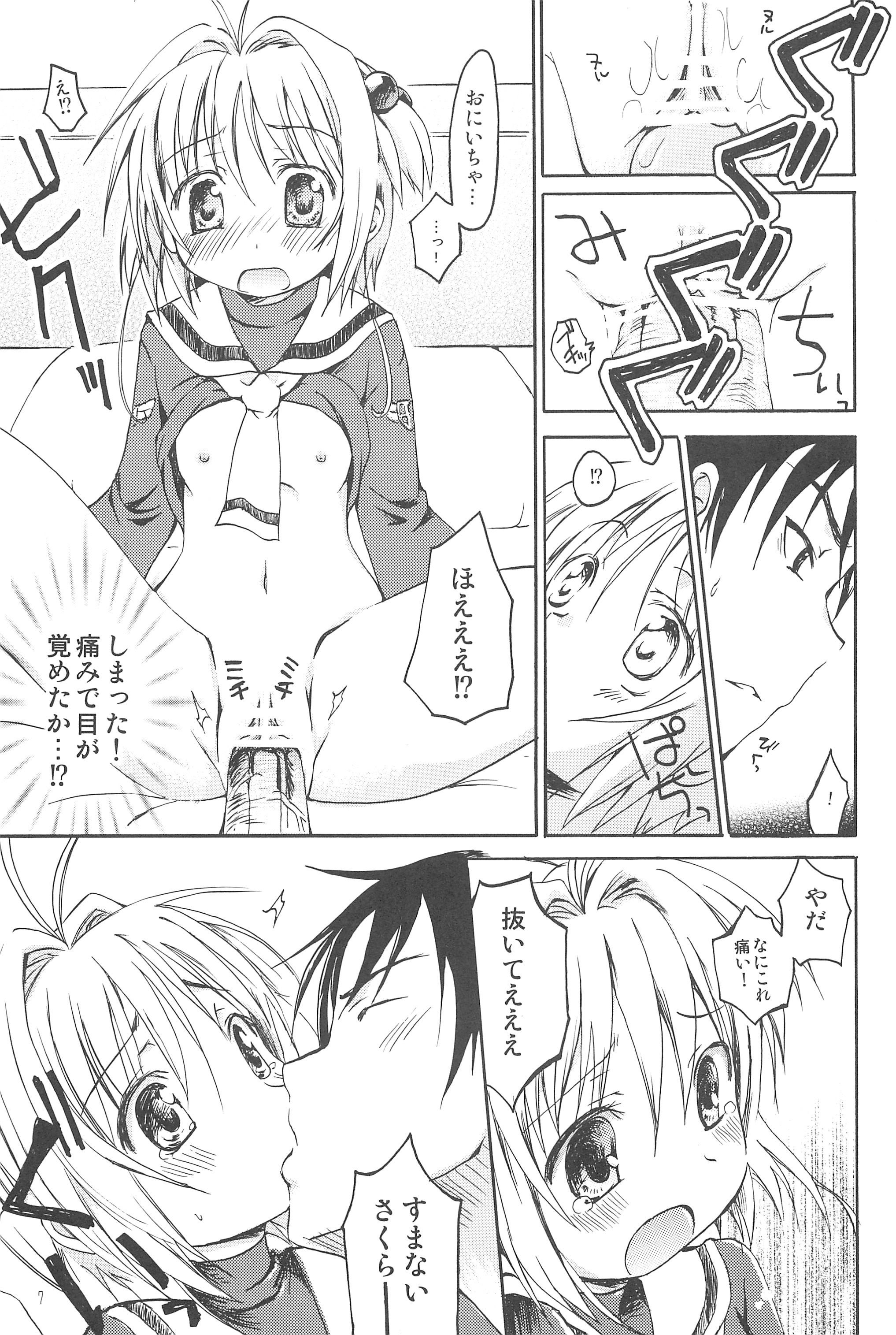 (C76) [ZNN (ジナン)] さくらメモリアル (カードキャプターさくら)