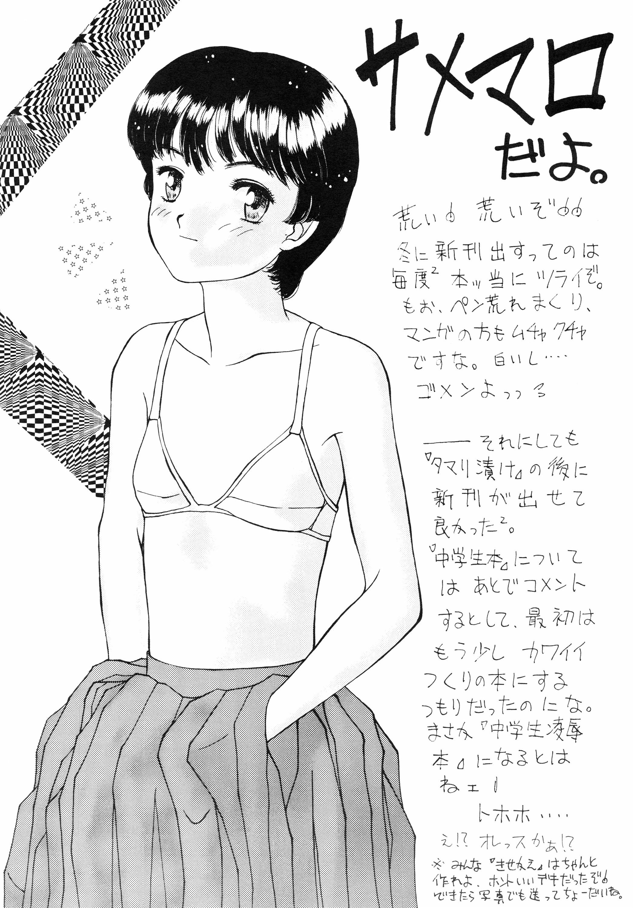 (C39) [サメマロ党 (よろず)] 中学生の決意