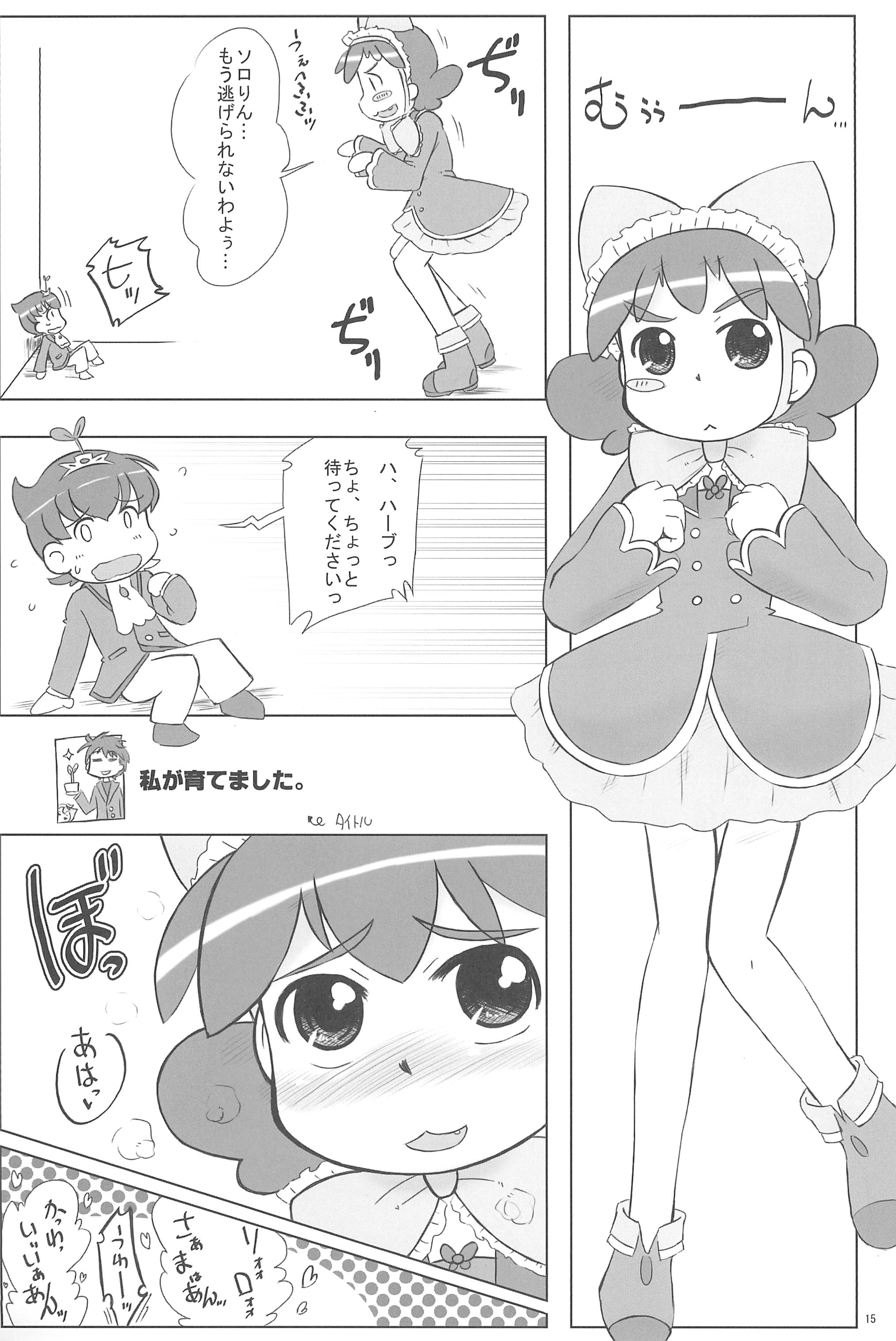 (C70) [甘味処USB (ふりり)] Wellington (ふしぎ星の☆ふたご姫)