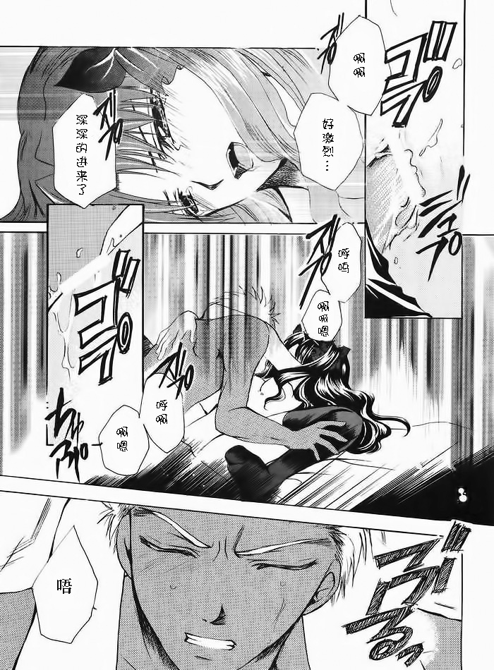 (みみけっと10) [RED DATA BOOK (天乃柳綺)] Albireo (Fate/stay night) [中国翻訳]