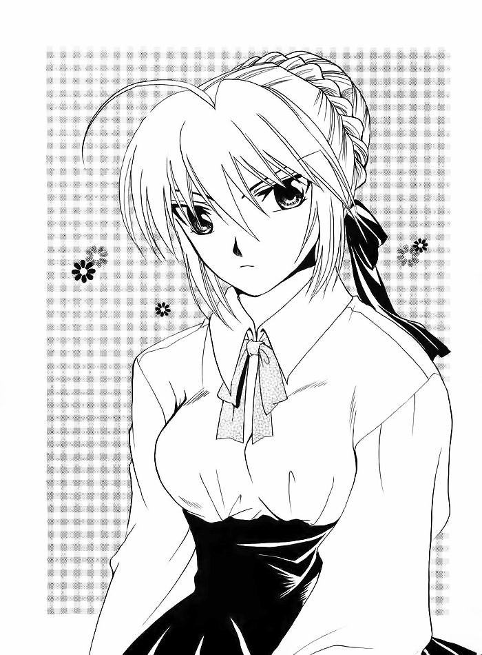 (みみけっと10) [RED DATA BOOK (天乃柳綺)] Albireo (Fate/stay night) [中国翻訳]