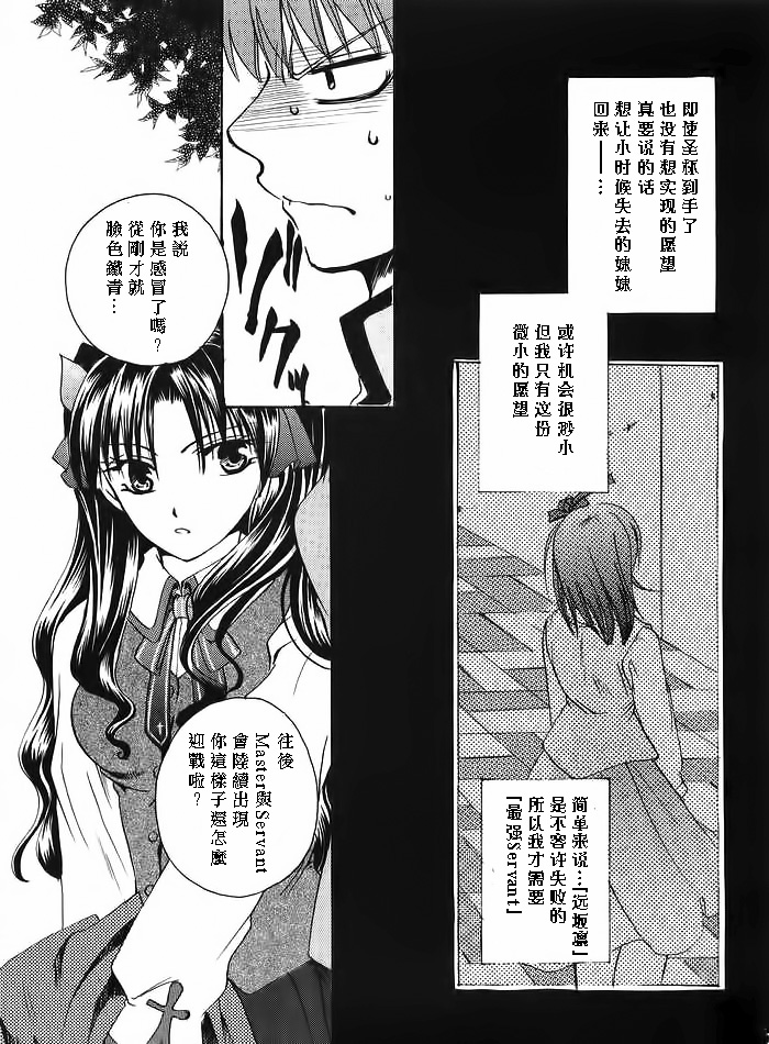 (みみけっと10) [RED DATA BOOK (天乃柳綺)] Albireo (Fate/stay night) [中国翻訳]