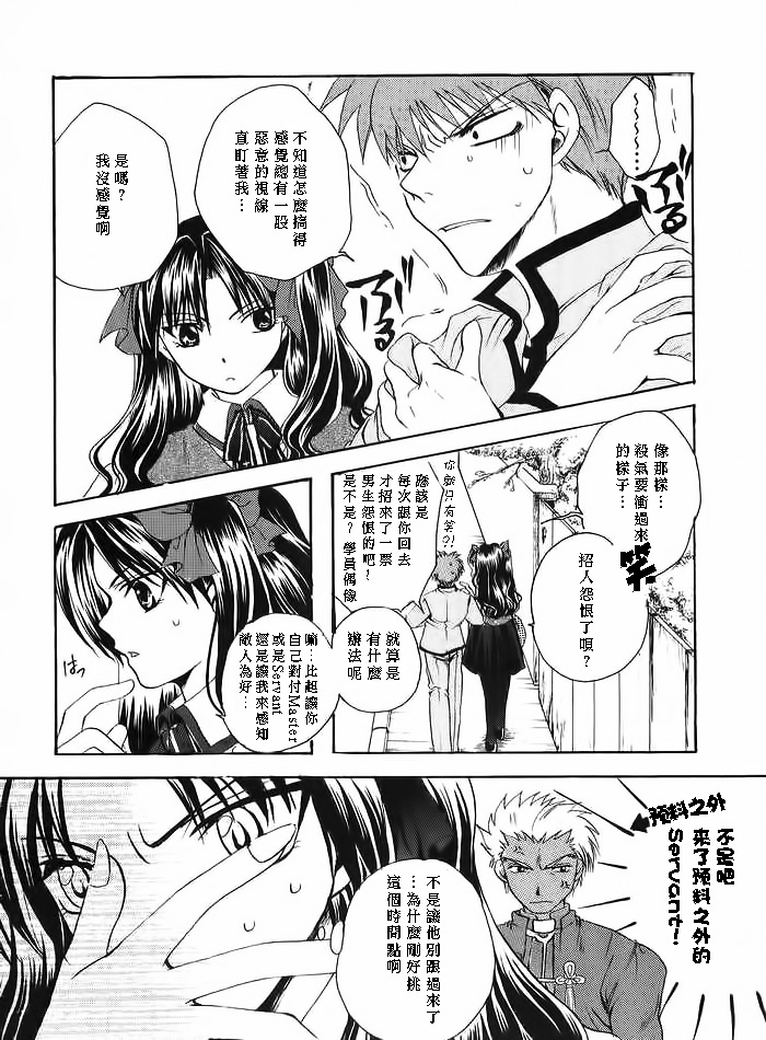 (みみけっと10) [RED DATA BOOK (天乃柳綺)] Albireo (Fate/stay night) [中国翻訳]