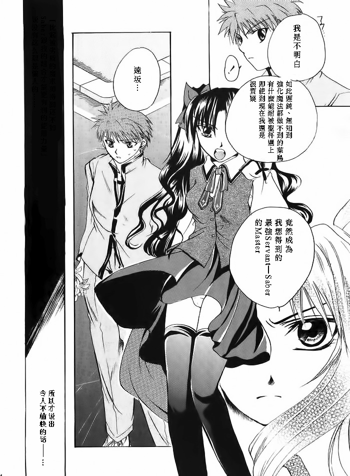 (みみけっと10) [RED DATA BOOK (天乃柳綺)] Albireo (Fate/stay night) [中国翻訳]