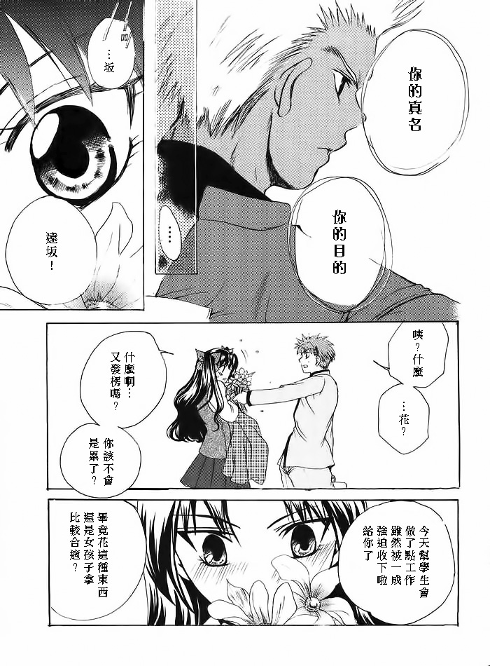 (みみけっと10) [RED DATA BOOK (天乃柳綺)] Albireo (Fate/stay night) [中国翻訳]