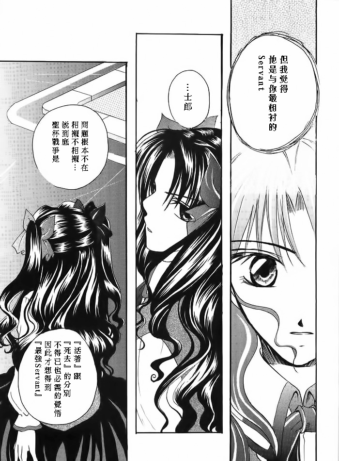(みみけっと10) [RED DATA BOOK (天乃柳綺)] Albireo (Fate/stay night) [中国翻訳]
