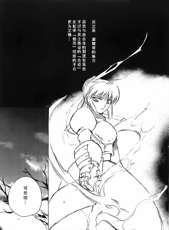 (みみけっと10) [RED DATA BOOK (天乃柳綺)] Albireo (Fate/stay night) [中国翻訳]