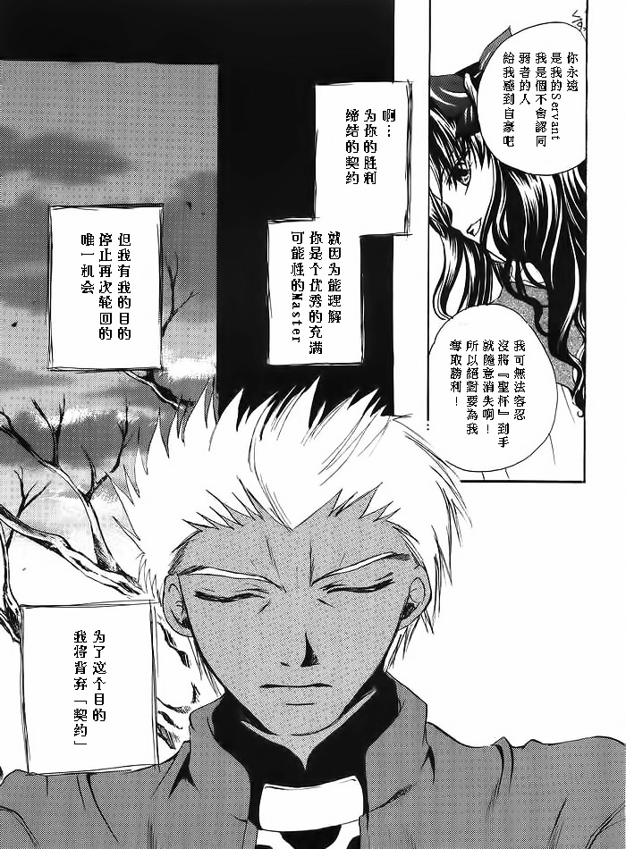 (みみけっと10) [RED DATA BOOK (天乃柳綺)] Albireo (Fate/stay night) [中国翻訳]