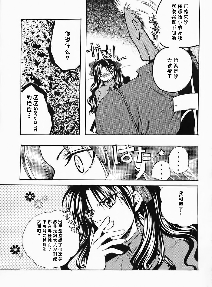 (みみけっと10) [RED DATA BOOK (天乃柳綺)] Albireo (Fate/stay night) [中国翻訳]