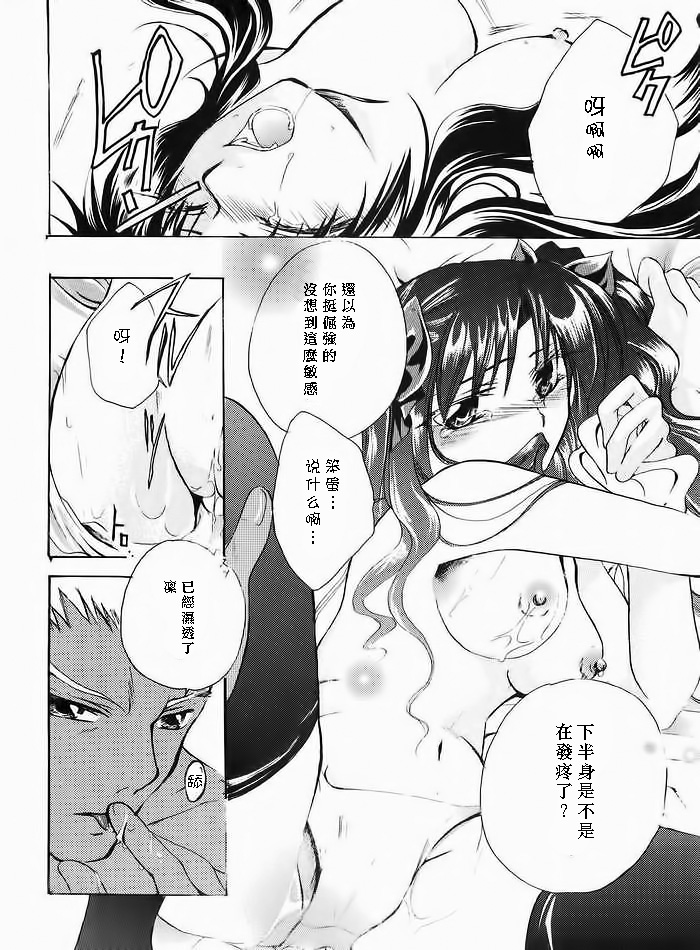 (みみけっと10) [RED DATA BOOK (天乃柳綺)] Albireo (Fate/stay night) [中国翻訳]