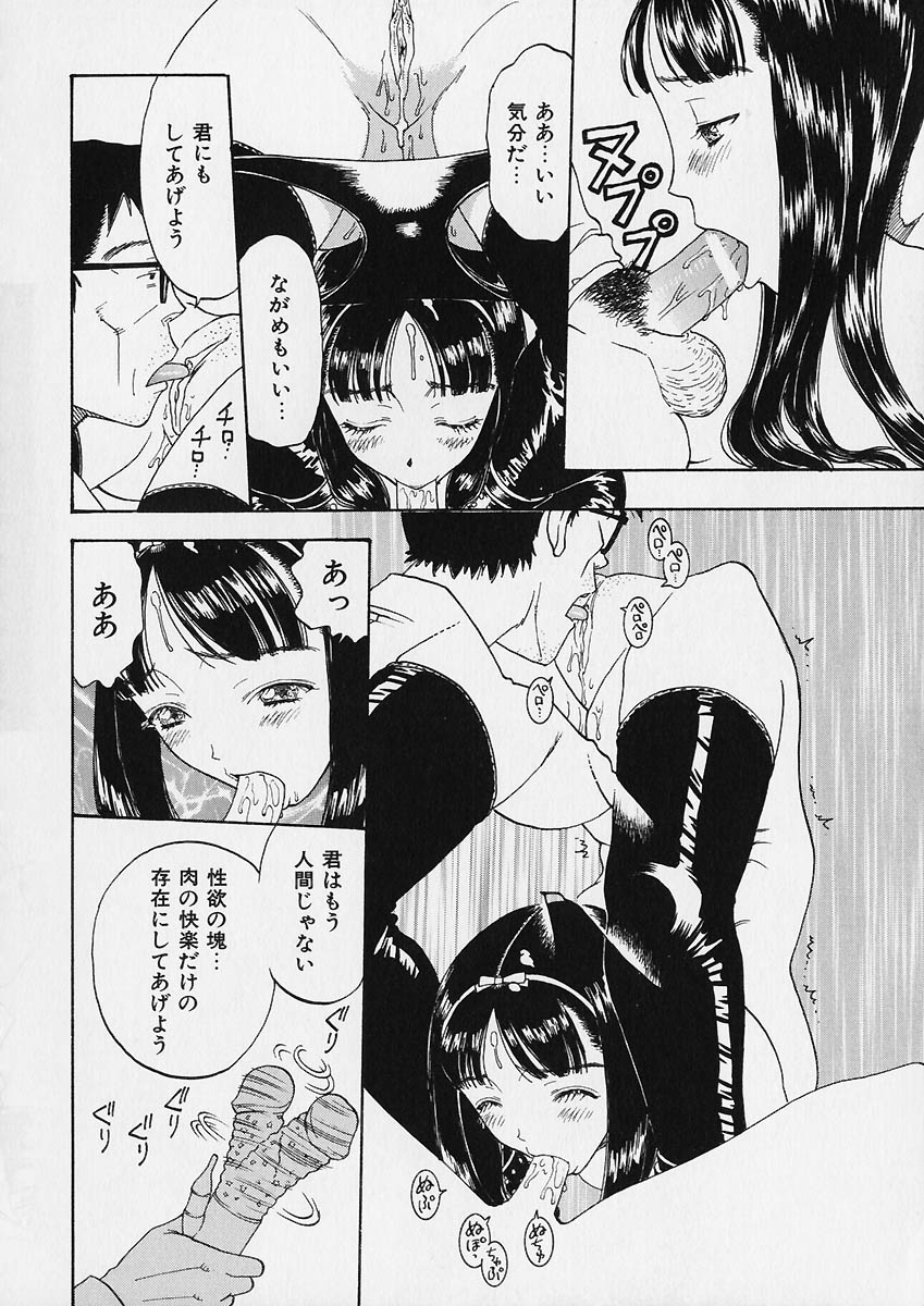 [小林少年] 折リ畳ミ式肉人形日記