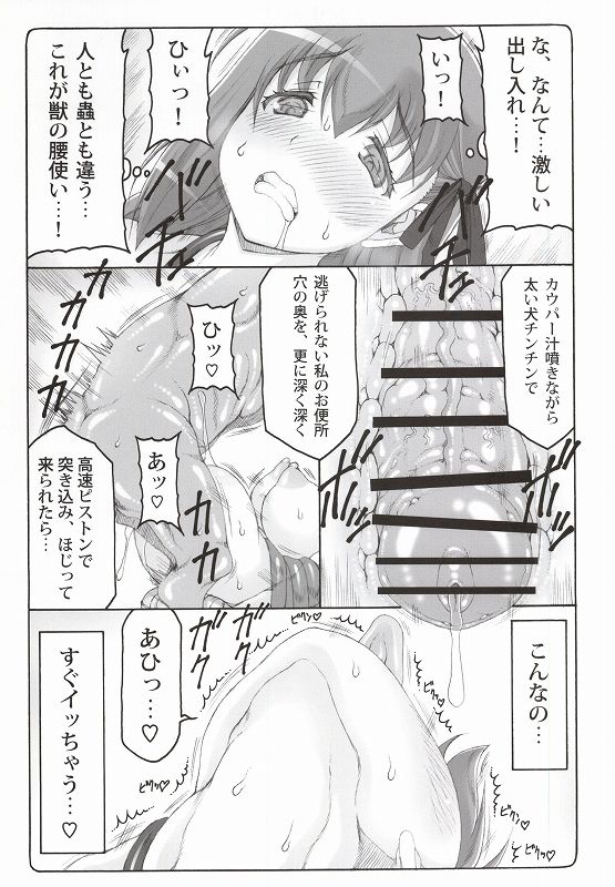 (C88) [暴れん坊天狗 (泉ゆうじろ～)] 蟲鳥 12 (Fate/stay night)