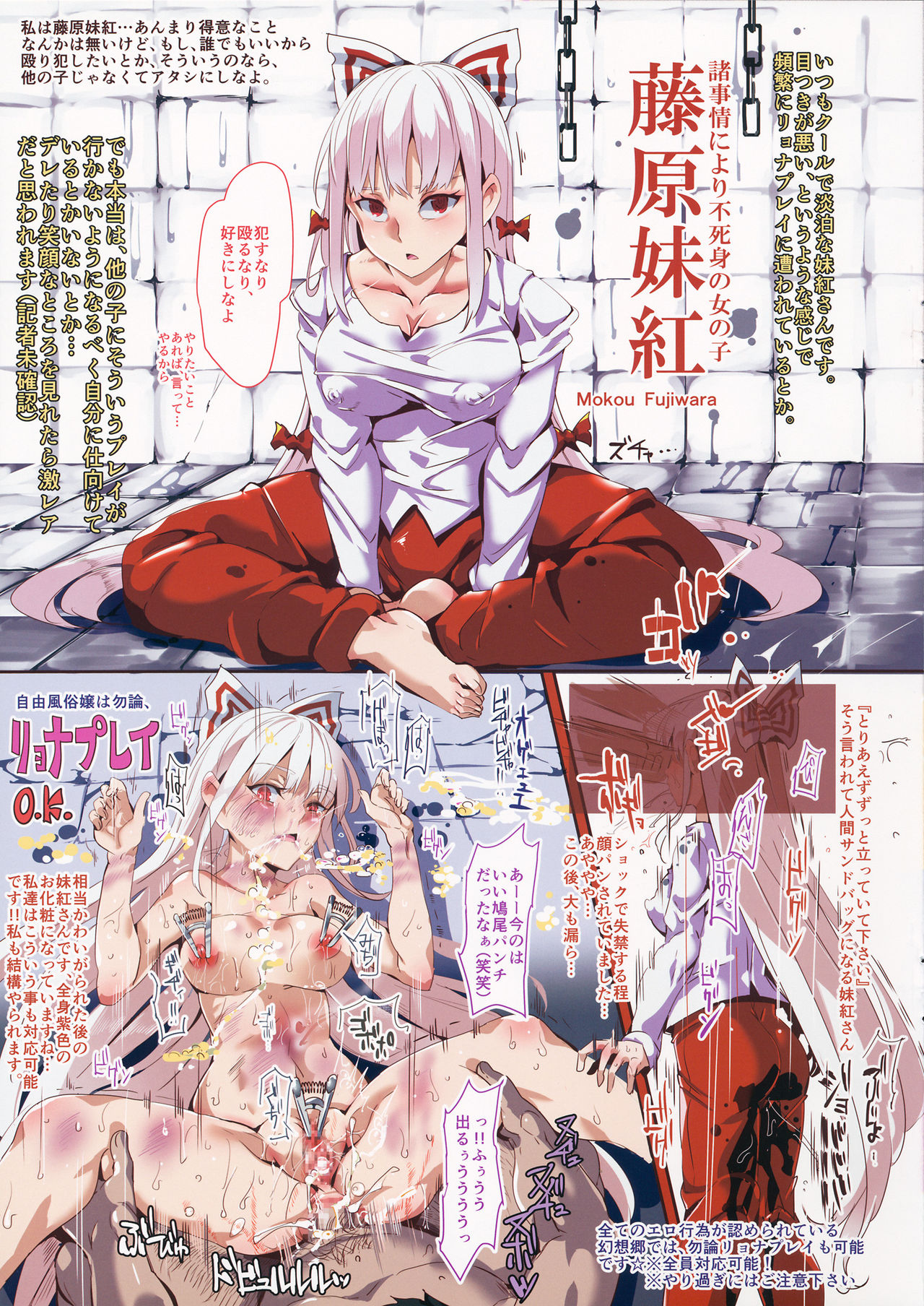 (紅楼夢11) [にゅう工房 (にゅう)] 自由風俗幻想郷 フルカラー (東方Project)