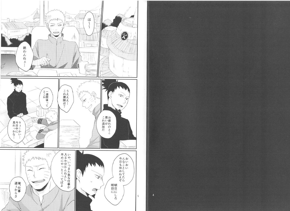 (全忍集結2) [野良 (かおり)] 夫人のおしごと。 (NARUTO -ナルト-)