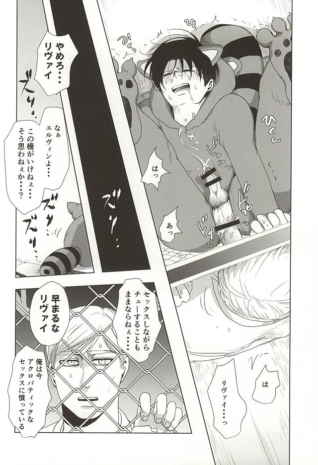 (双翼の絆4) [Pair☆Bear (おみけ)] あらいぐまのりばい (進撃の巨人)