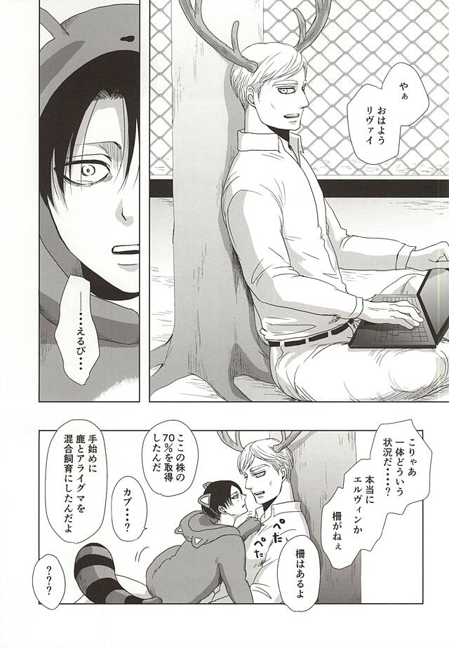 (双翼の絆4) [Pair☆Bear (おみけ)] あらいぐまのりばい (進撃の巨人)