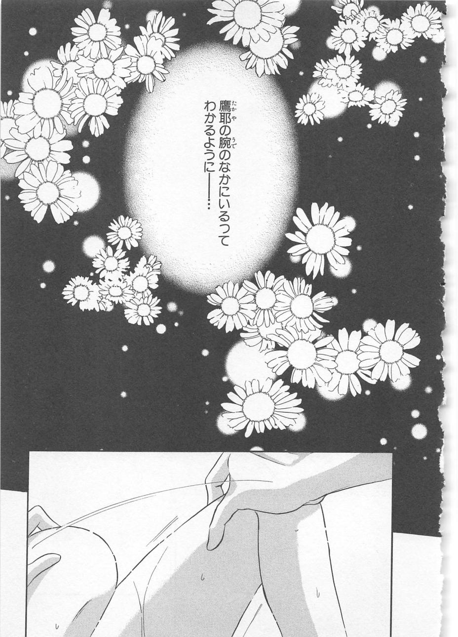 [松本ゆうか] ないしょのCute Boy