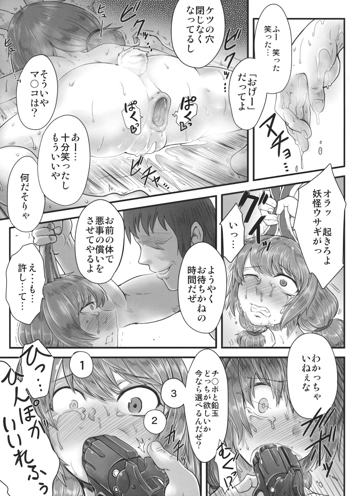 (紅楼夢11) [寅乃檻 (酉寅)] センニュウニシッパイシマシタ。 (東方Project)