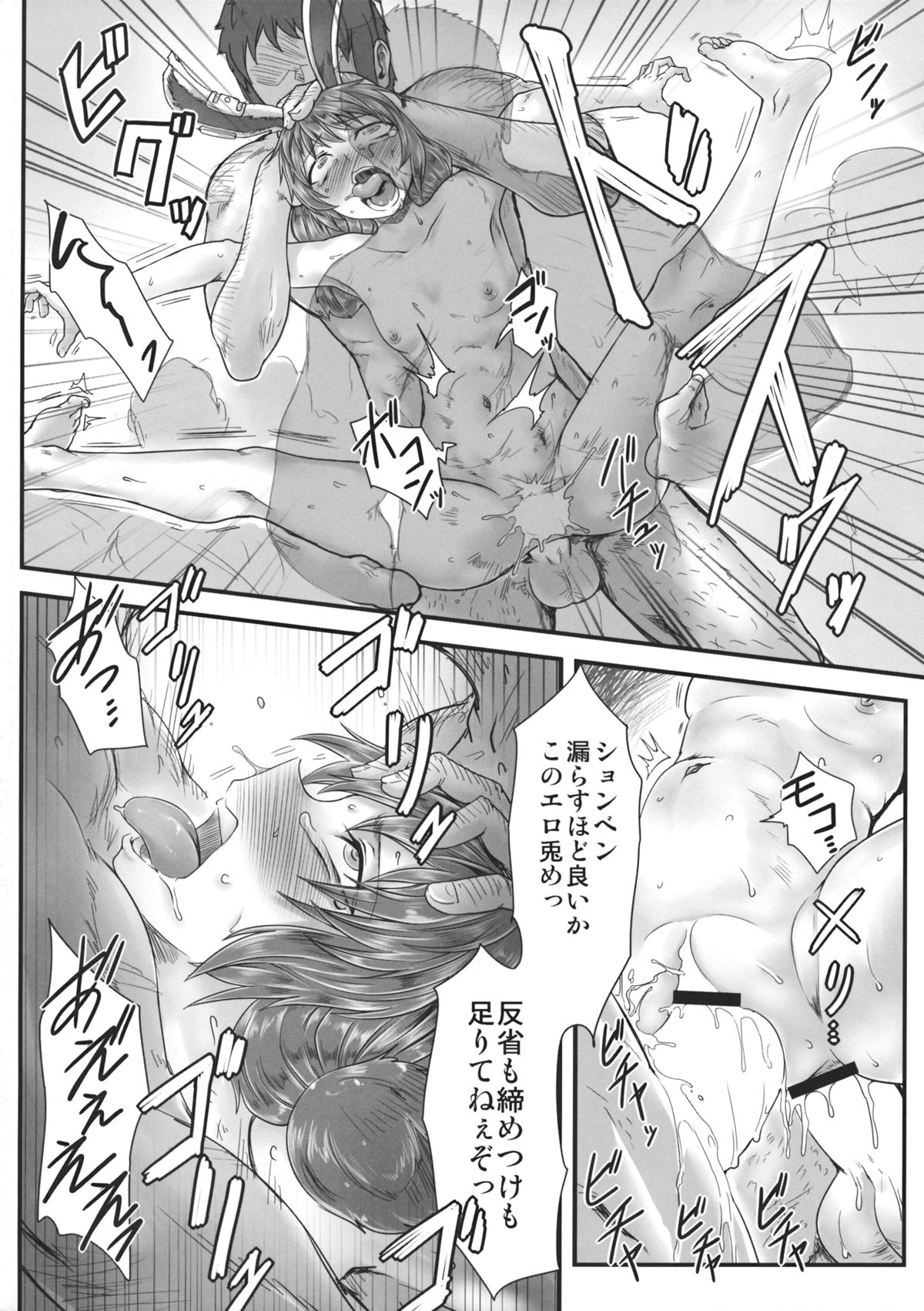 (紅楼夢11) [寅乃檻 (酉寅)] センニュウニシッパイシマシタ。 (東方Project)