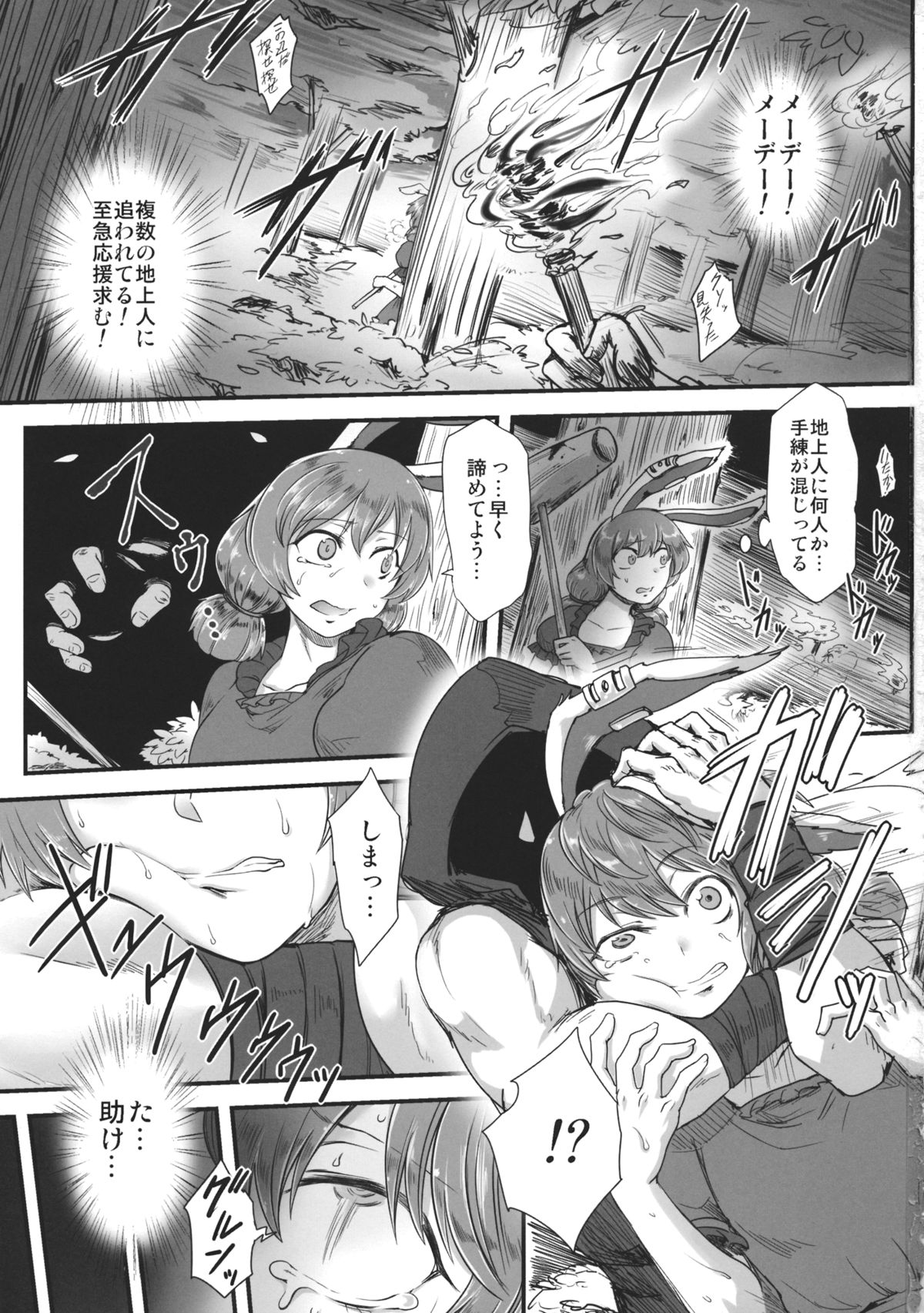 (紅楼夢11) [寅乃檻 (酉寅)] センニュウニシッパイシマシタ。 (東方Project)