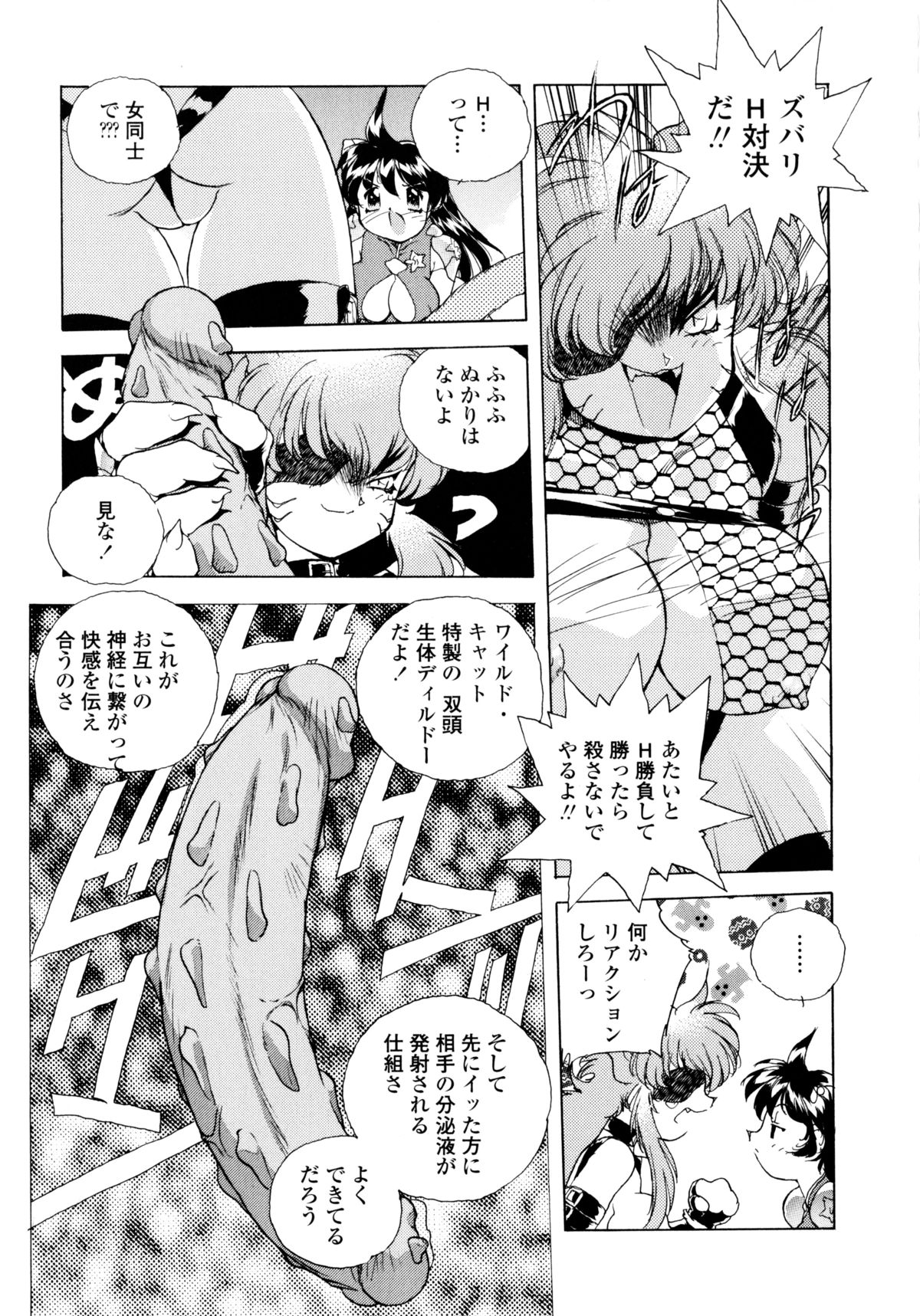 [はりけんはんな] ワイルドキャットパイレーツ