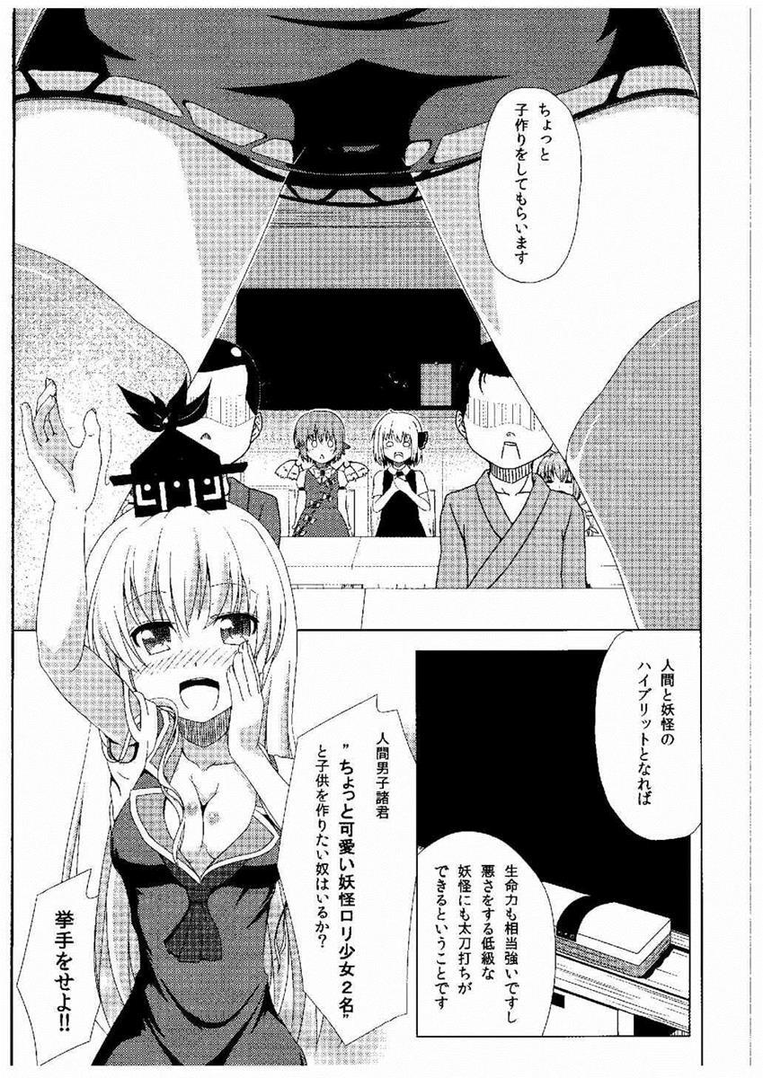 (例大祭12) [わっしょい☆工房 (速水桜)] 寺子屋少子化対策 (東方Project)