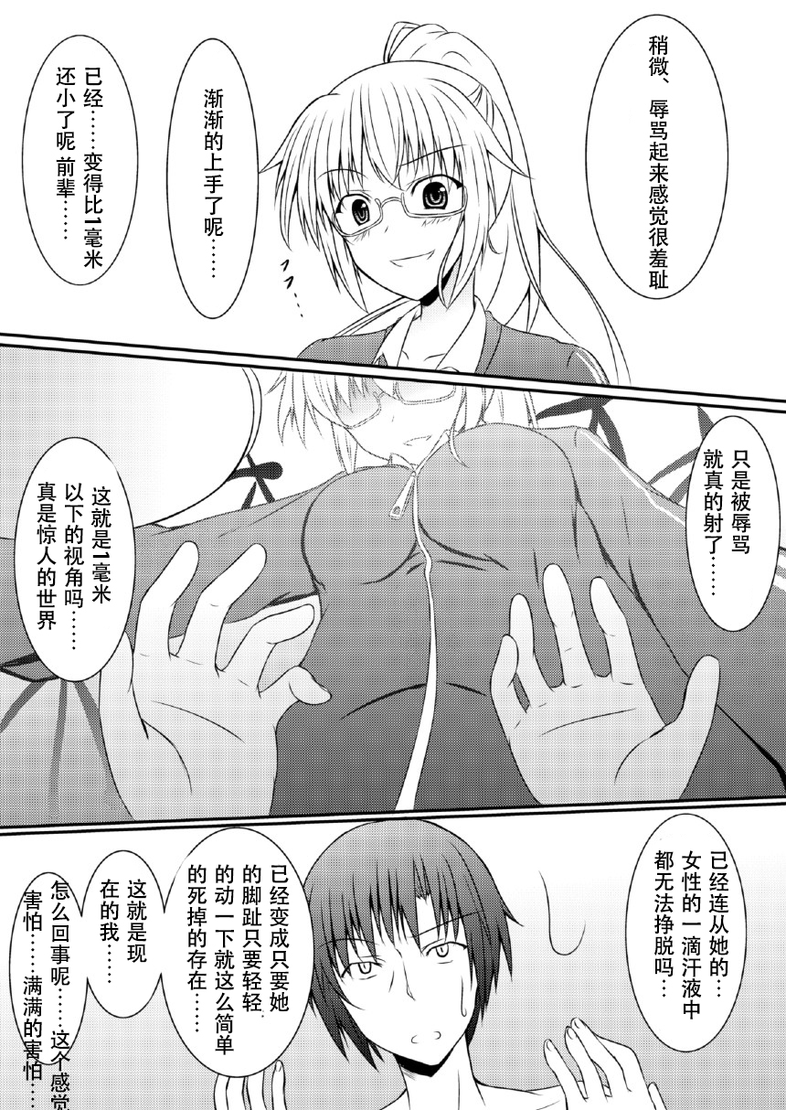 [NeonSign (DRE)] Neon's Report 複合型縮小ガスの効果測定 [中国翻訳] [DL版]