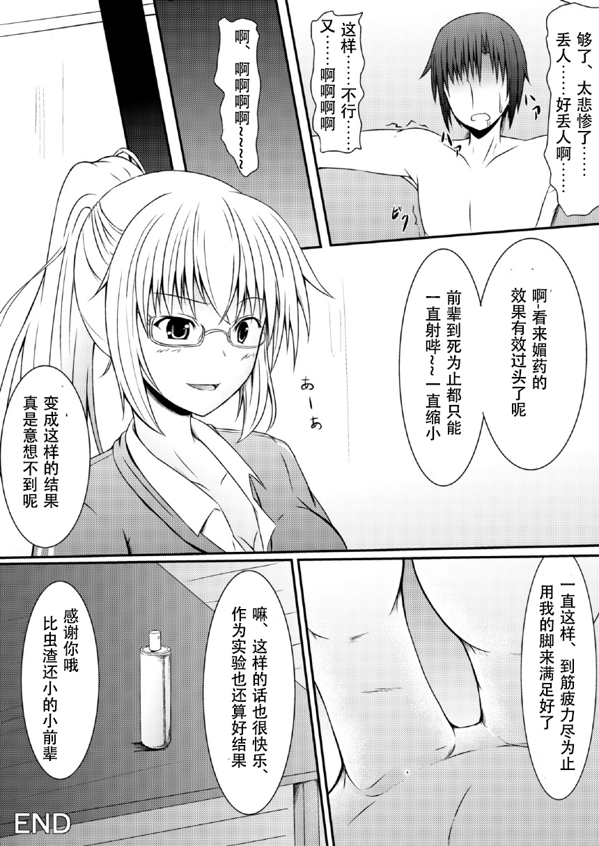 [NeonSign (DRE)] Neon's Report 複合型縮小ガスの効果測定 [中国翻訳] [DL版]