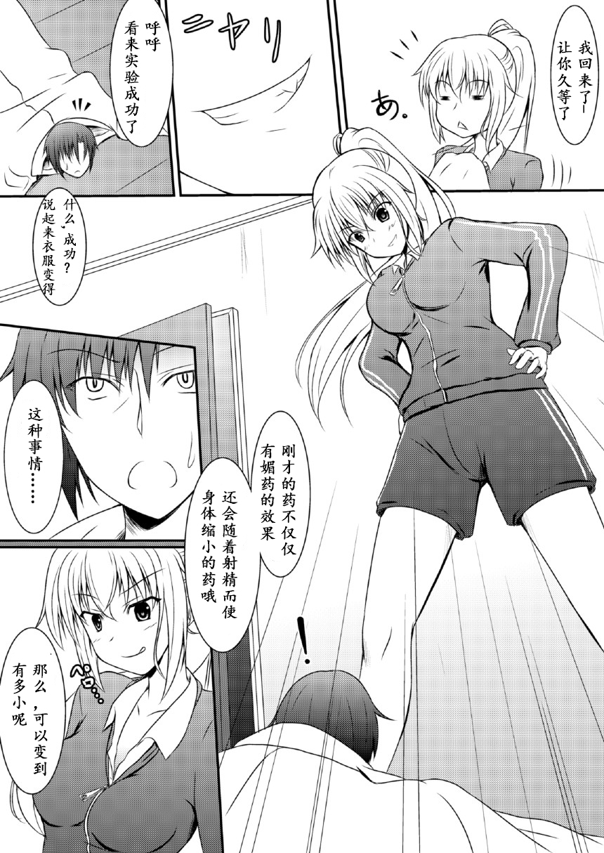 [NeonSign (DRE)] Neon's Report 複合型縮小ガスの効果測定 [中国翻訳] [DL版]