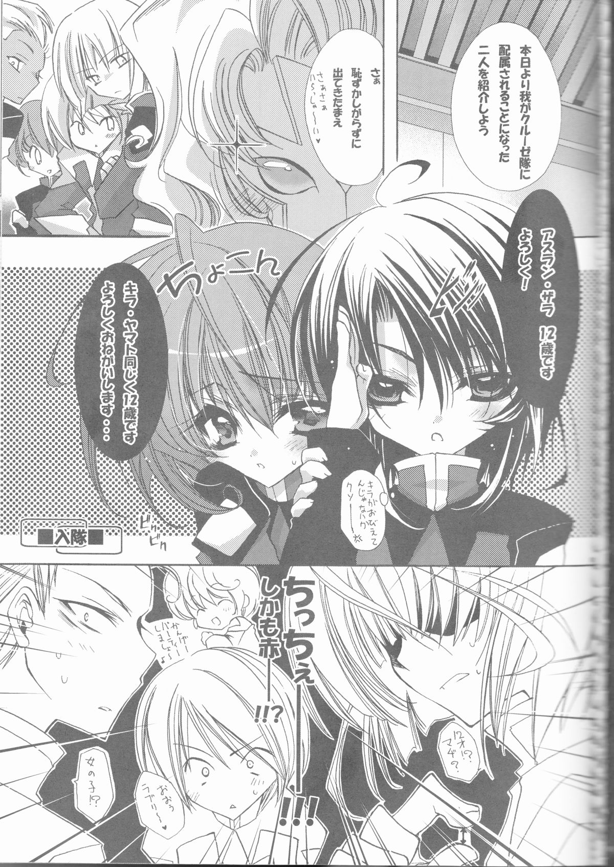 (C68) [RIRIADOLL (武若丸)] MeMories (機動戦士ガンダムSEED DESTINY) [ページ欠落]