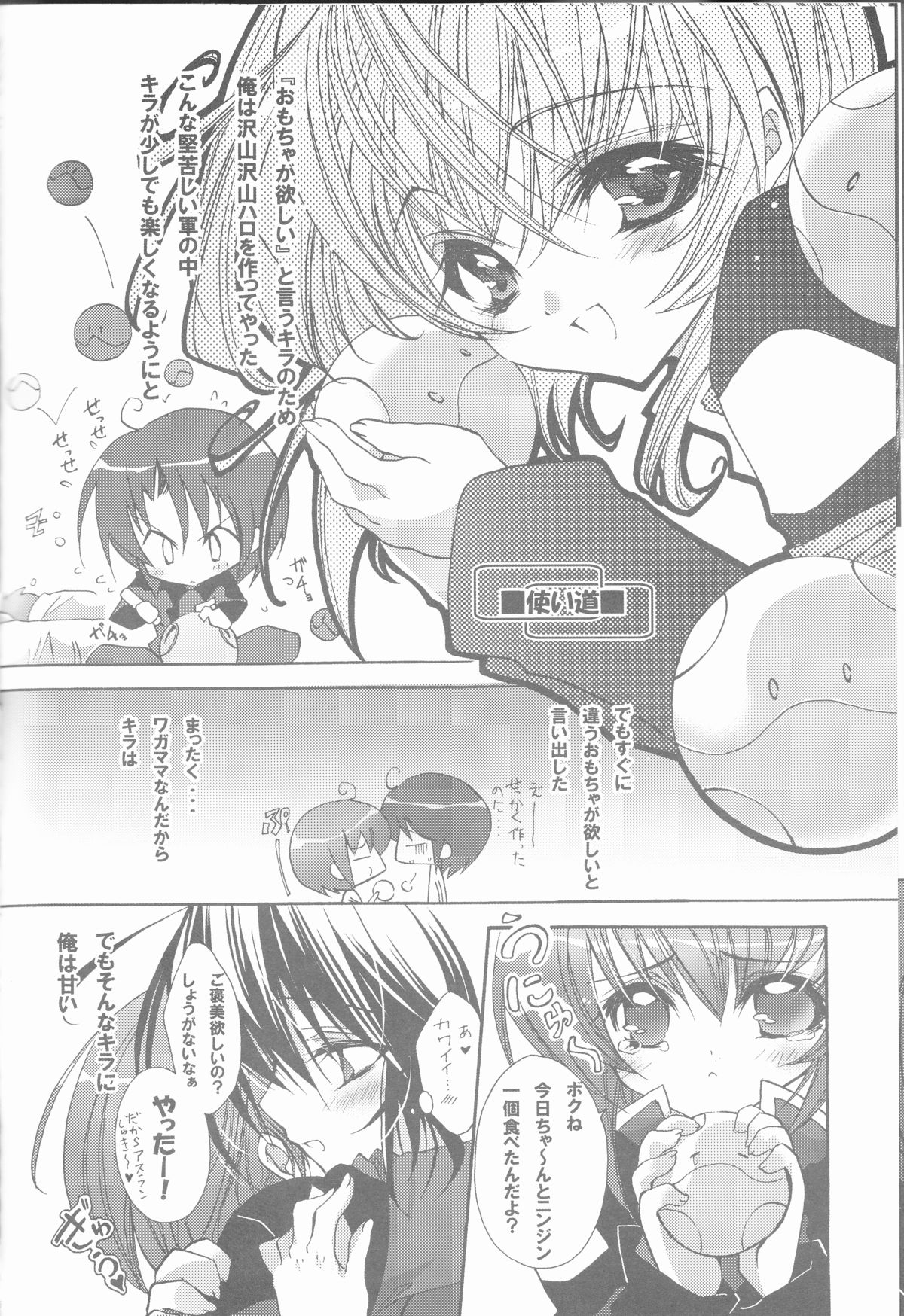 (C68) [RIRIADOLL (武若丸)] MeMories (機動戦士ガンダムSEED DESTINY) [ページ欠落]