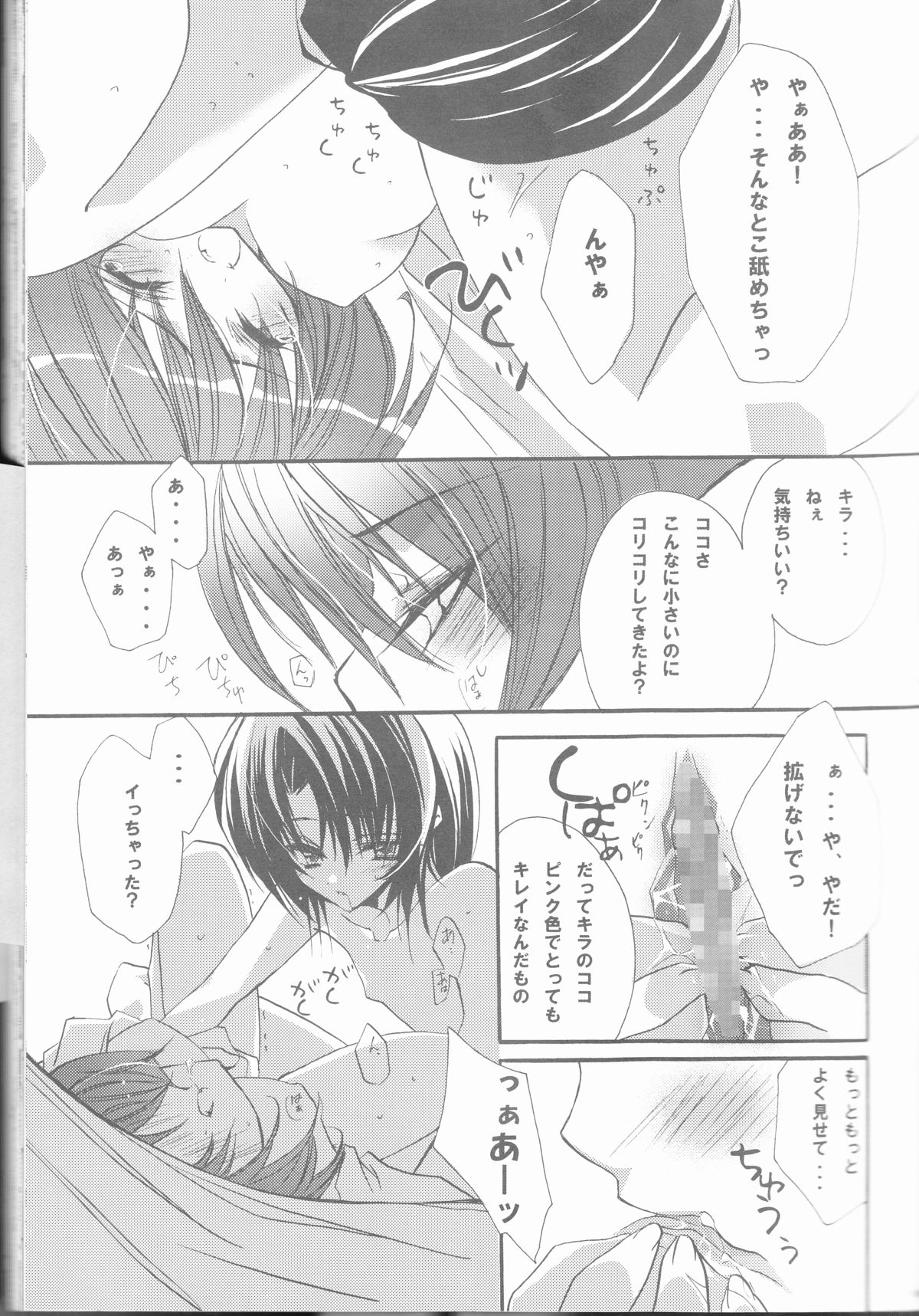 (C68) [RIRIADOLL (武若丸)] MeMories (機動戦士ガンダムSEED DESTINY) [ページ欠落]