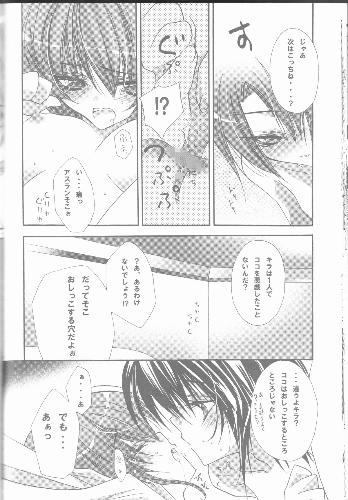 (C68) [RIRIADOLL (武若丸)] MeMories (機動戦士ガンダムSEED DESTINY) [ページ欠落]