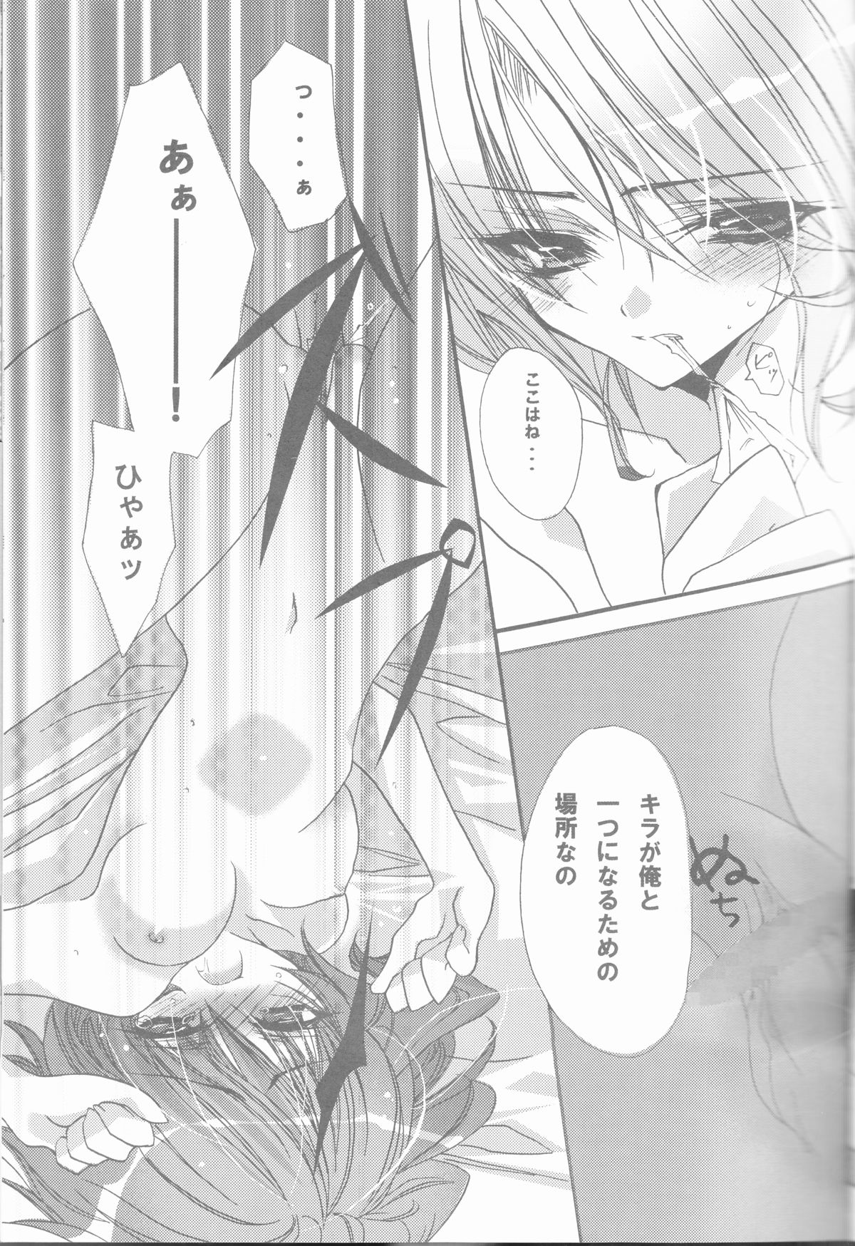 (C68) [RIRIADOLL (武若丸)] MeMories (機動戦士ガンダムSEED DESTINY) [ページ欠落]