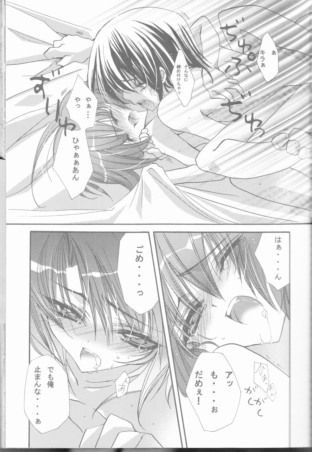 (C68) [RIRIADOLL (武若丸)] MeMories (機動戦士ガンダムSEED DESTINY) [ページ欠落]