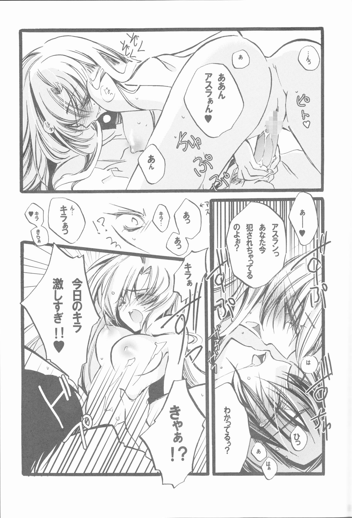 (C68) [RIRIADOLL (武若丸)] MeMories (機動戦士ガンダムSEED DESTINY) [ページ欠落]