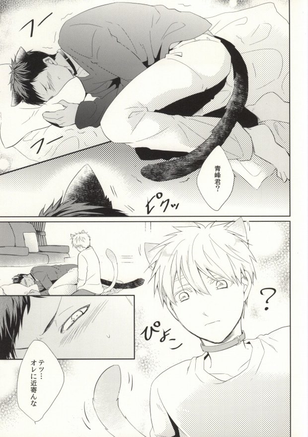 (HARUCC19) [色兎 (ありま)] さわるなキケン発情期 (黒子のバスケ)