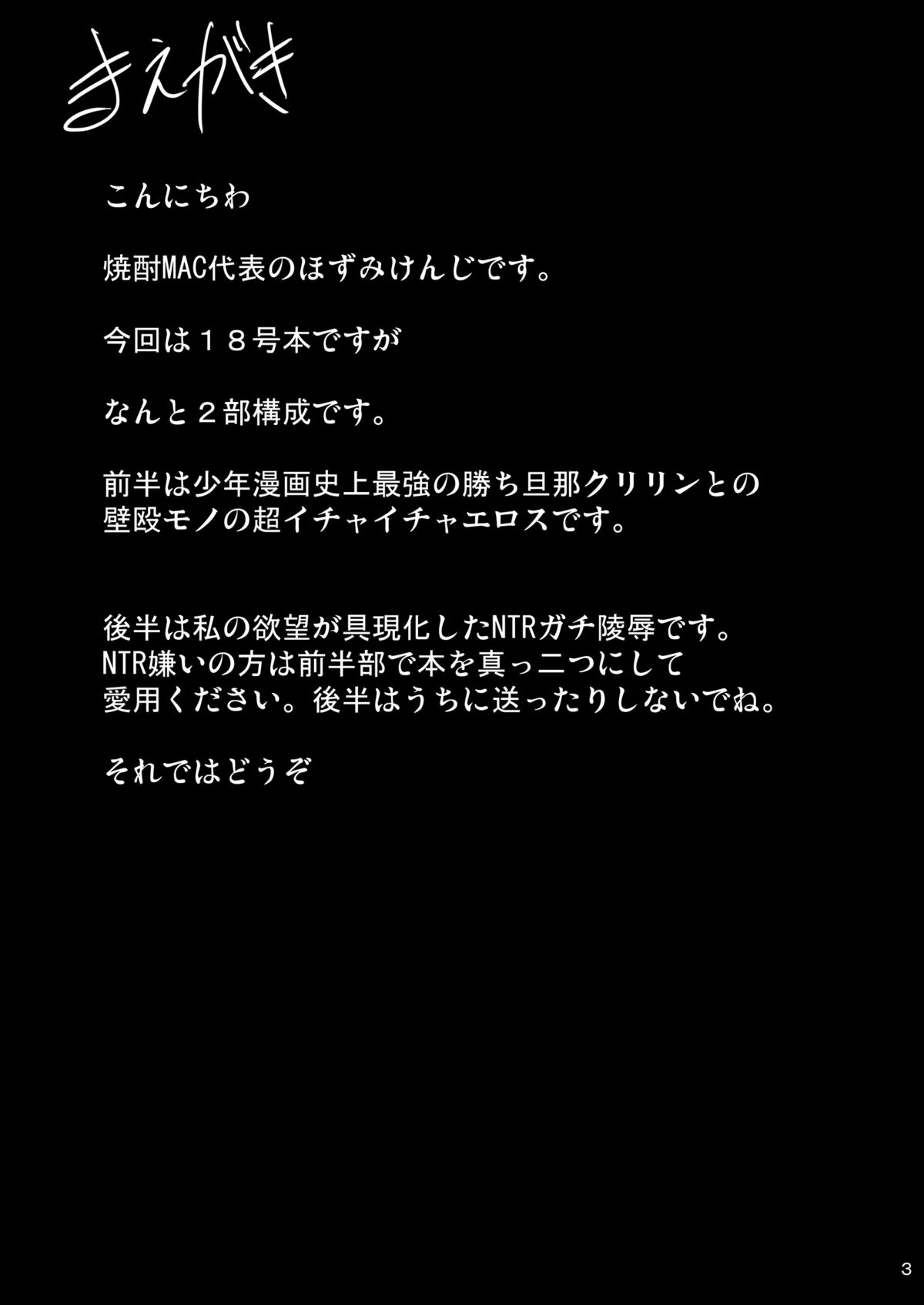[焼酎MAC (ほずみけんじ)] INFINITY18 (ドラゴンボールZ) [英訳] [DL版]