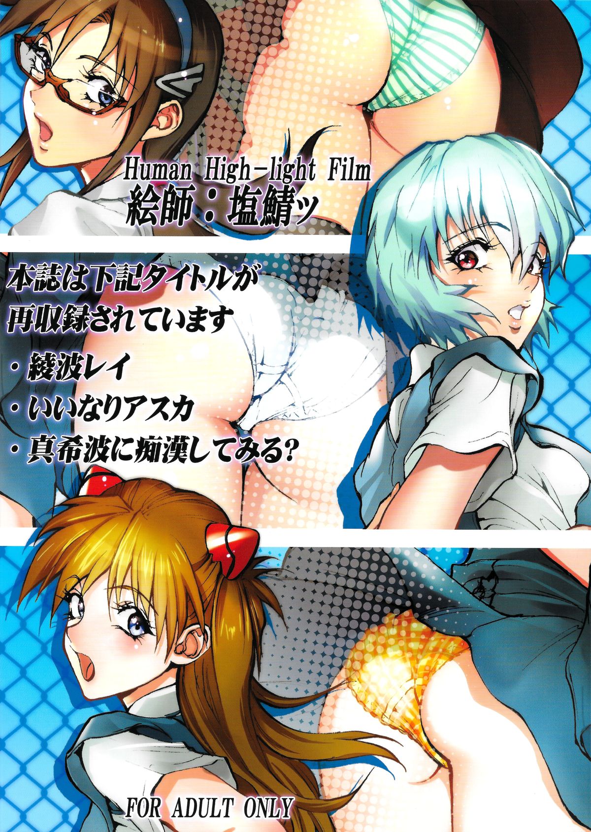 (COMIC1☆9) [ヒューマン・ハイライト・フィルム (塩鯖ッ)] マリレイアスカ (新世紀エヴァンゲリオン)