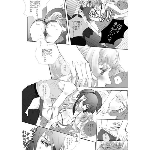 (SUPER21) [mixed breed (ちゃね)] desire to monopolize (マクロスFRONTIER) [見本]