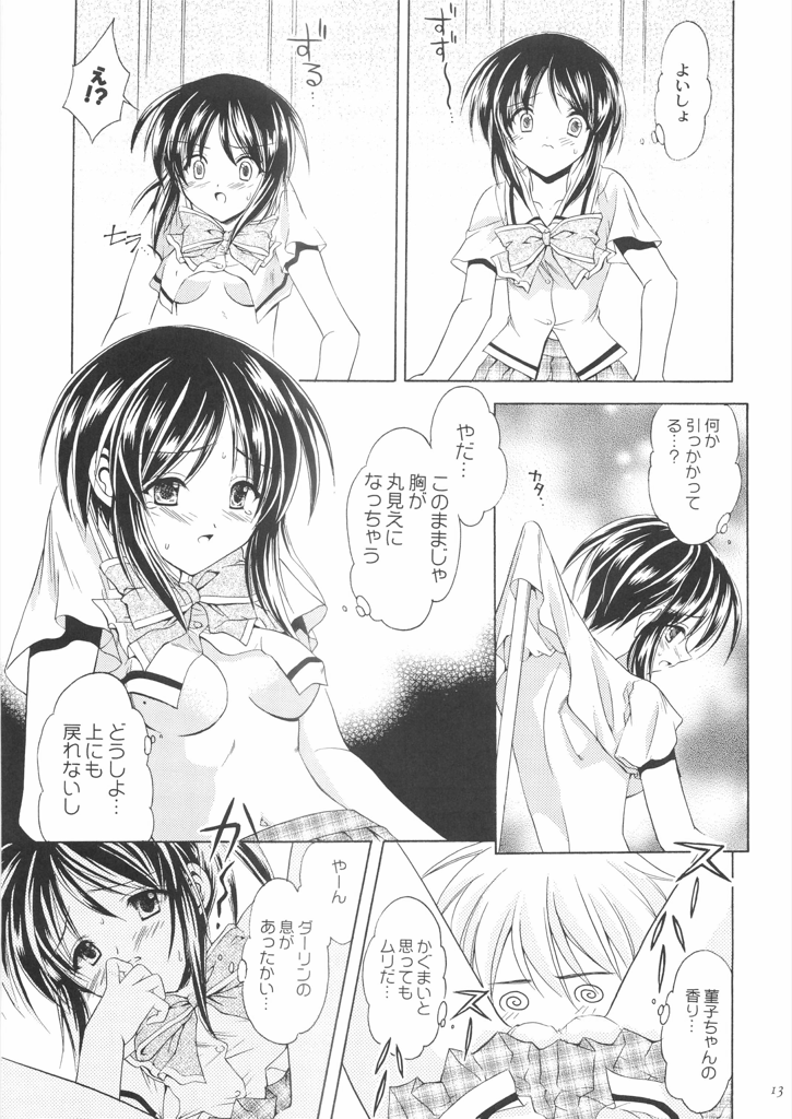(C66) [猫見屋 (猫見春人)] Reversible twin ★ 一条姉妹 ver. (双恋)