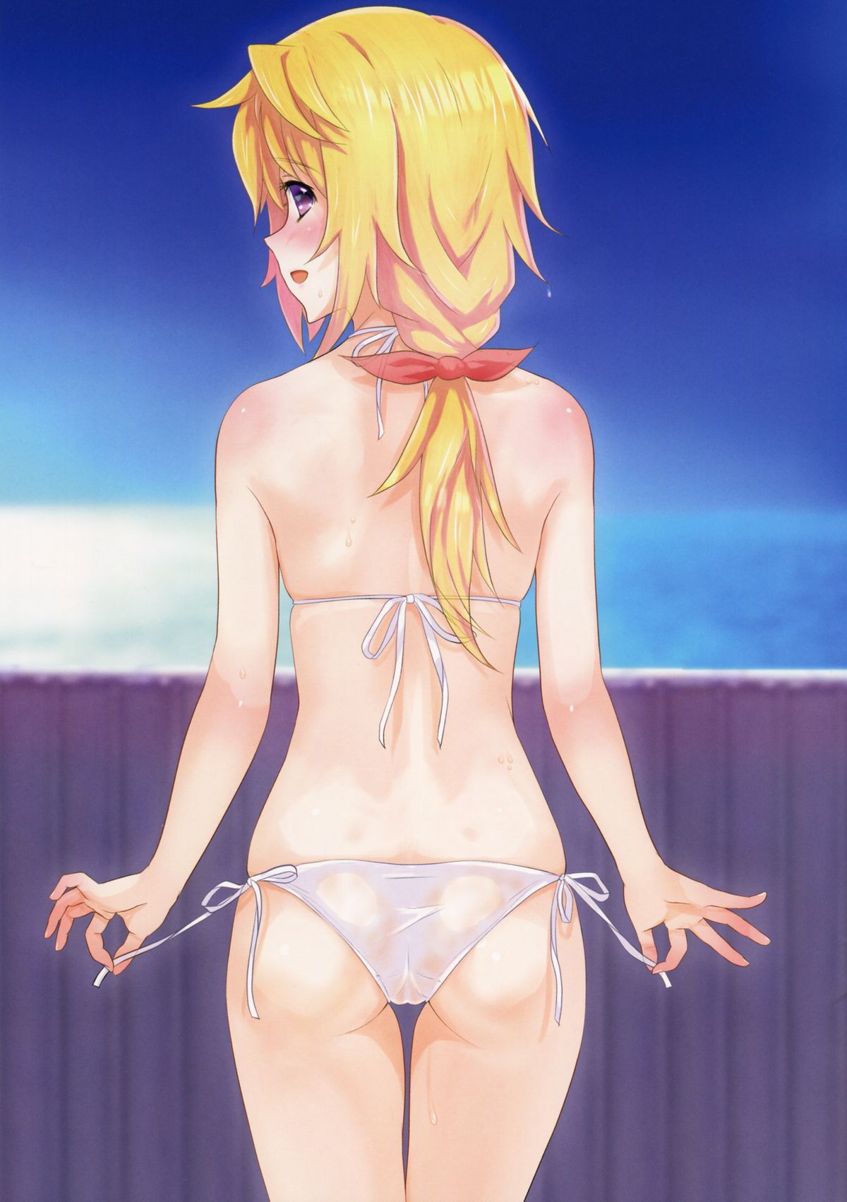 (アグリゲート5) [PROJECT KAGUYA (コーモ)] シャルのえっち (IS＜インフィニット・ストラトス＞)