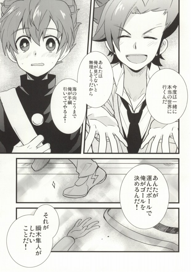 (FFF4) [エレファントコーラス (仲沢)] 最大風速センチメント (イナズマイレブン、イナズマイレブンGO)