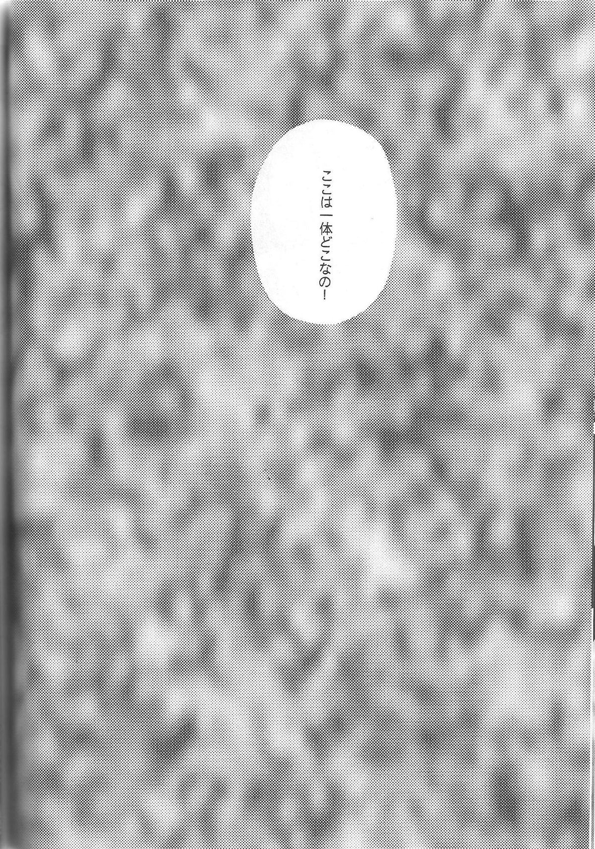 (C46) [自由ヶ丘商店街 (平木直利)] 美奈子 (美少女戦士セーラームーンシリーズ)