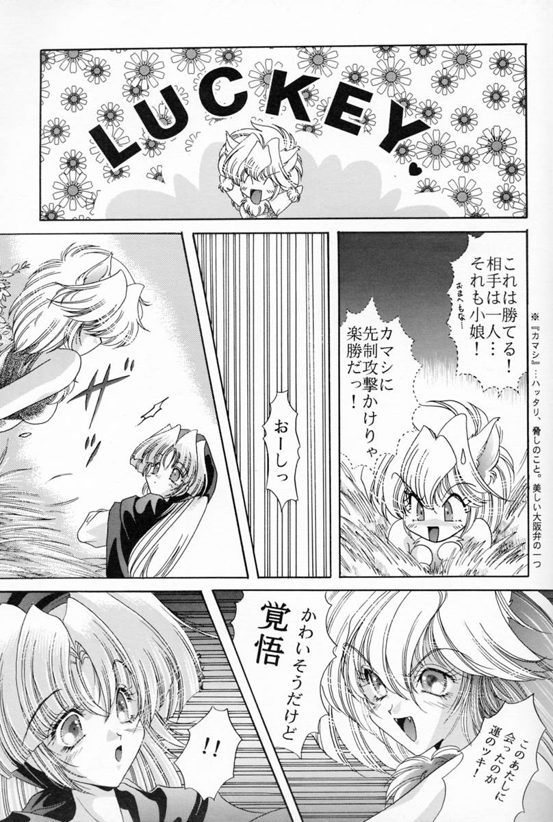 ラグドール1-4
