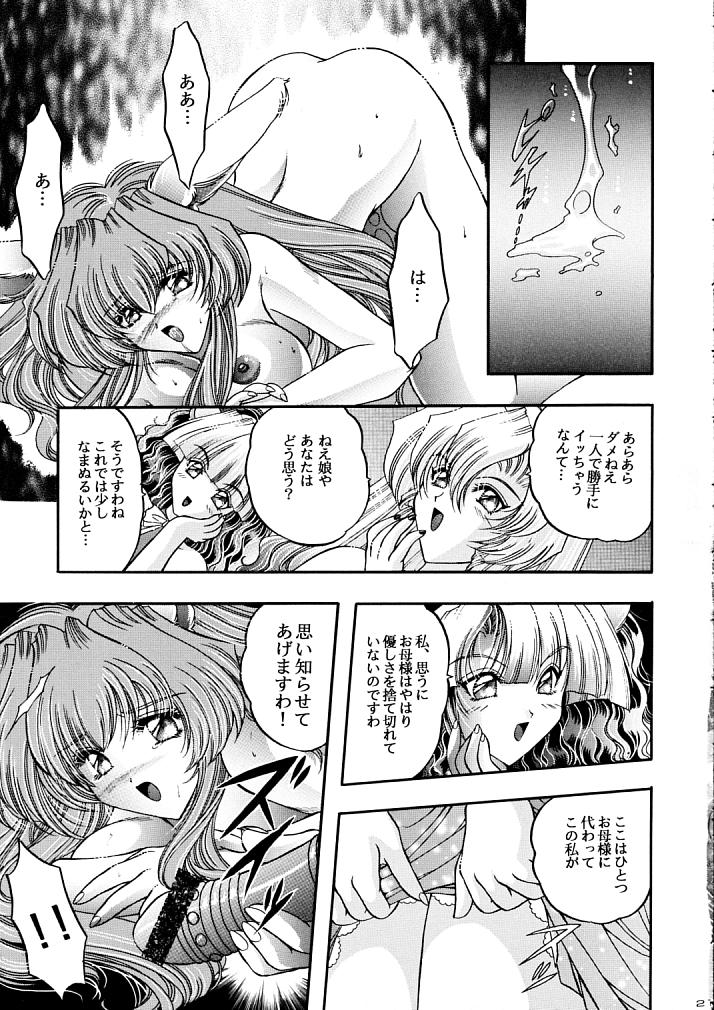ラグドール1-4